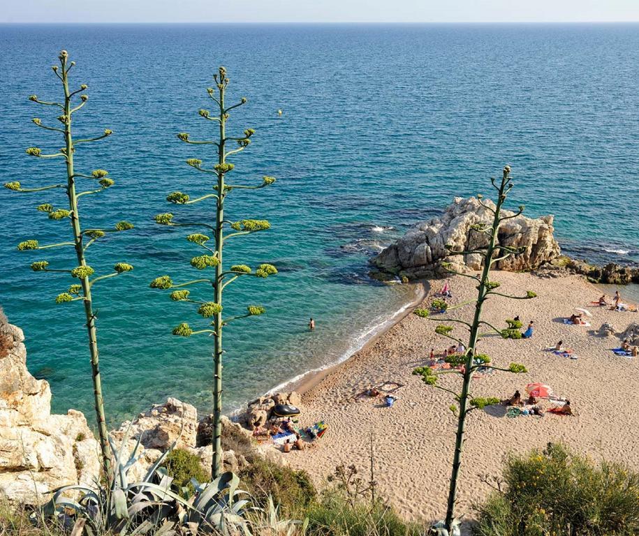Hotel Raco D'En Pepe Calella Exteriér fotografie